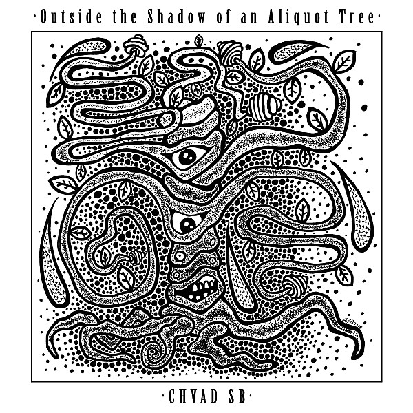 "Outside the Shadow of an Aliquot Tree"